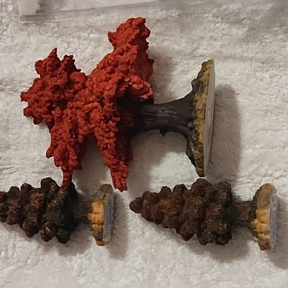 Autumn village trees - Picture 9 of 10